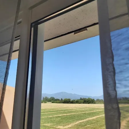 1 Les Jasmins Apartment Lucciana (Corsica)